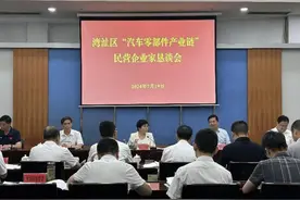 芜湖市湾沚区“汽车零部件产业链”民营企业家恳谈会召开图片