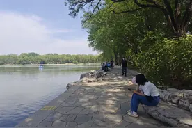 公园20分钟效应，缘何吸引年轻人？图片