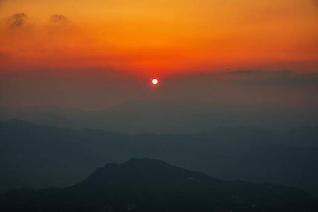 巴东野三关森林花海百花齐放 为22℃夏季“野三半马赛”助力