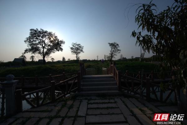 秋游时刻丨在安乡县关保村，步入田园诗画里