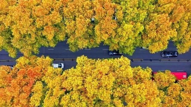 最近，洛阳人都在钻商场，怎么回事？