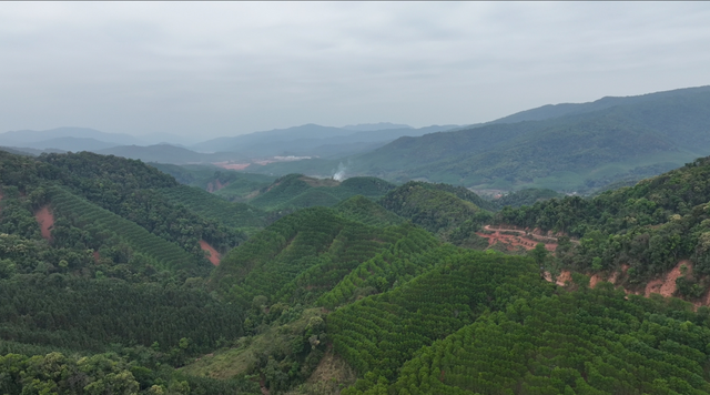 旅居云南丨生活在磨憨：体验雨林徒步、特色美食和绚烂民族文化