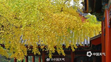 绝美！打卡中山公园秋日视觉盛宴