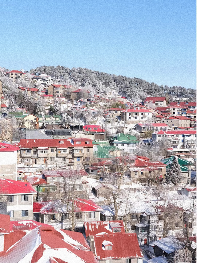 辞家千里又千里，务必开心又开心