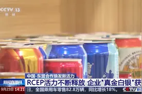 关税减免、新职业涌现……中国-东盟合作焕发新活力图片