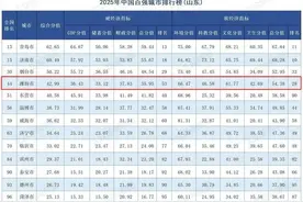 2025年中国百强城市榜发布，潍坊第44位图片