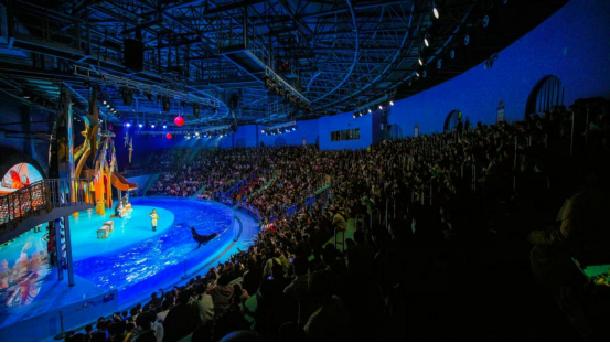 郑州海昌海洋公园年味不停，宠妮来袭！