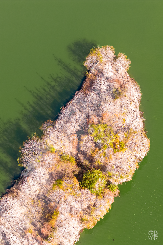 新年开门红！东湖1月嗨玩指南速领