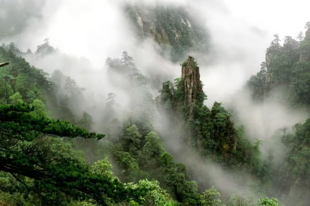 10月11日，引爆“名山之争”