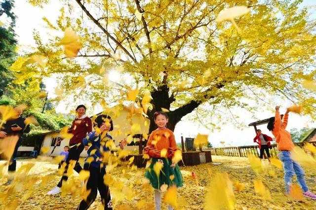 2025保康秋游季，邀您共赏山色如画