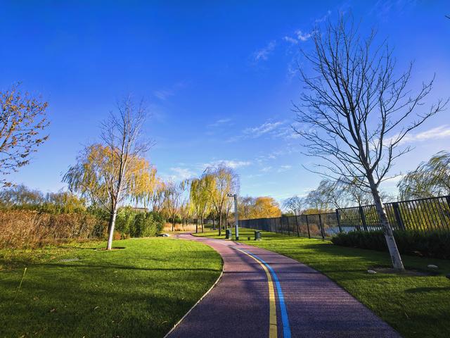 小雪节气，北京通州镜湖之滨好风光