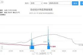 上海迎来2025年第一声春雷，还有冰雹！4日还要继续带伞，气温更低！但双休日重启入春图片