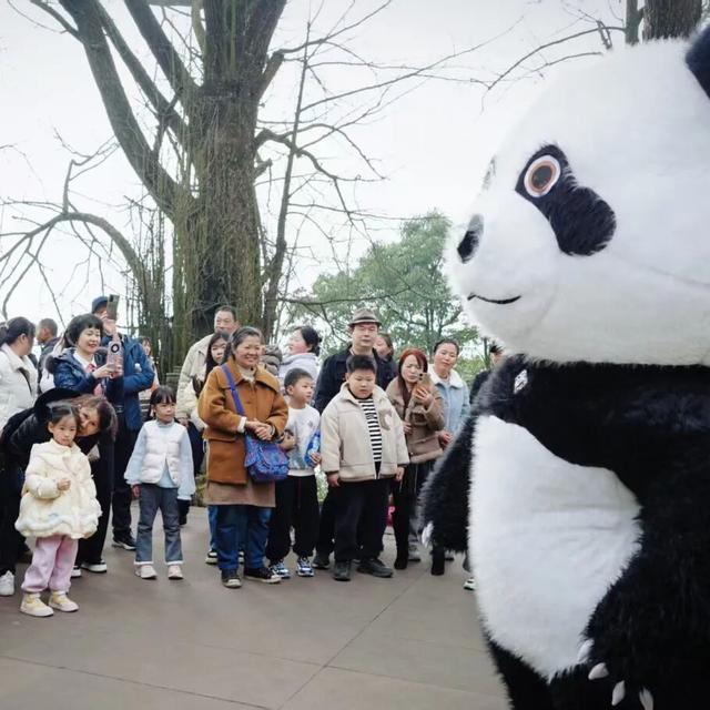 新春游名山 | 假期已过半！蒙顶登高马力全开迎新年！