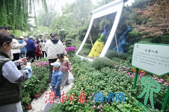 相聚泉畔共赏菊香，第46届趵突泉金秋菊展启幕