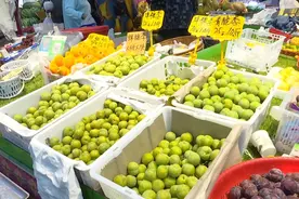 上市近半月，昆明市场蜂糖李价格……图片