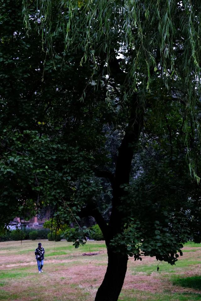 「外包儿女」：拿人钱财，替人尽孝