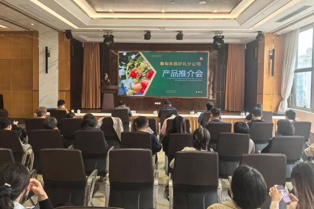 跨越山海，“甸”念沪上，鲁甸臻品亮相普陀