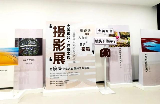 跨年，东台是认真的