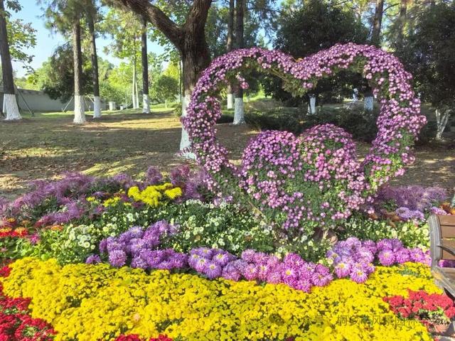 本周末截止！桐乡人，赶紧来打卡这场菊花展