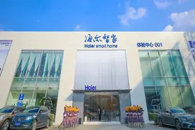 海尔上市公司年报纵览：智家净赚166亿，健康板块业绩分化图片