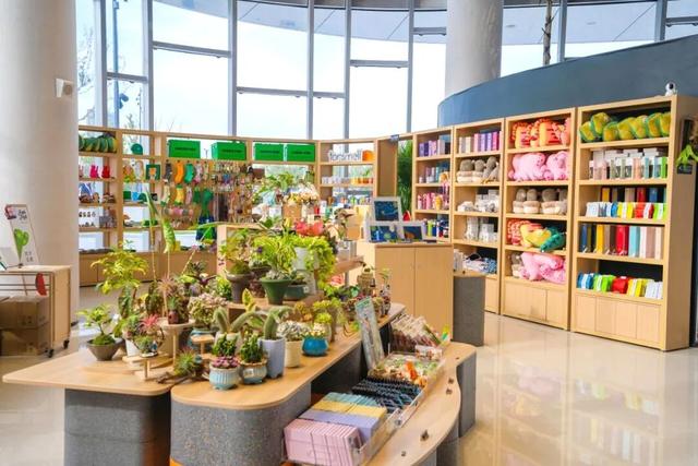 文旅创新看普陀！第六届长三角文博会普陀这些企业和项目屡获殊荣→