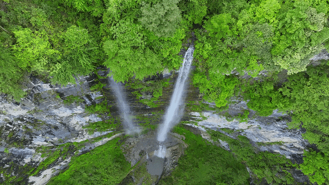 什么！毕节这里也上电视了？
