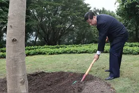 改革近镜头｜高山榕下，春天的故事谱新篇图片