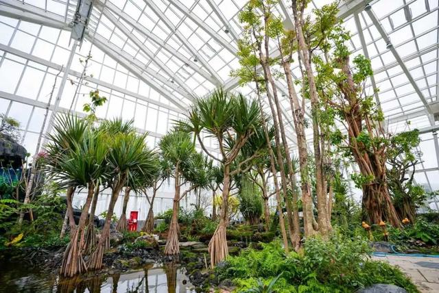 预计4月正式向公众开放！宁波新增一个打卡好去处