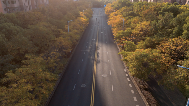 别眨眼！罗店马路秋色，一街一帧画正在限时上映