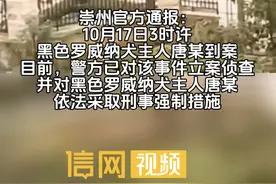 罗威纳等大型犬在青岛禁养 养犬之前需查好禁养名录图片