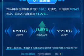 图解2024年民航航班运行情况图片