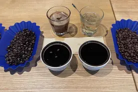 咖啡豆价格狂飙背后：咖啡大厂不增反降、平替咖啡豆出圈，行业新一轮“赛点”出现图片