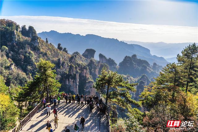 【每日一图@湖南】张家界暖冬限定！天子山暖阳沐峰林