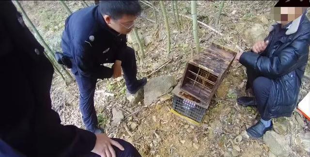 伤亡惨重!浙江两派蜜蜂打群架,民警直接上门劝架