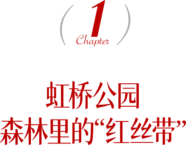 深圳环境五星的「网红公园」，不能再低调了