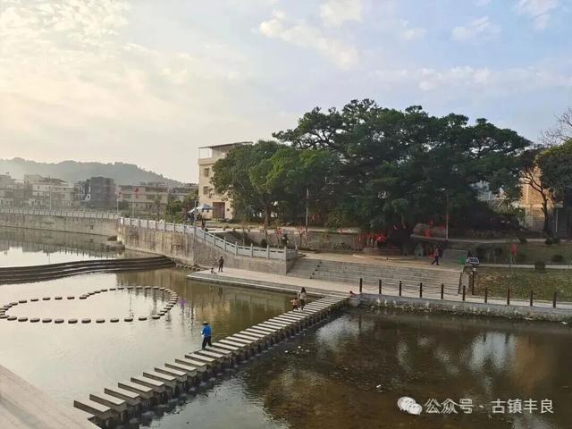 丰顺这个镇，可是梅州响当当的“四大古镇”之一