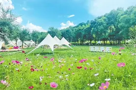 平凉露营地：别样的诗和远方图片