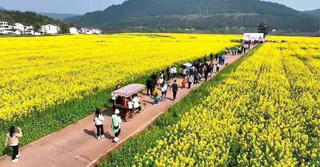 【“文旅融合看平昌”】文旅融合百业“活”，千年白衣正青春