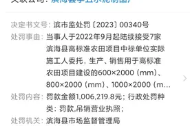 去年3·15曝光水泥制品厂被罚百万，已吊销营业执照，列入严重违法失信企业名单图片