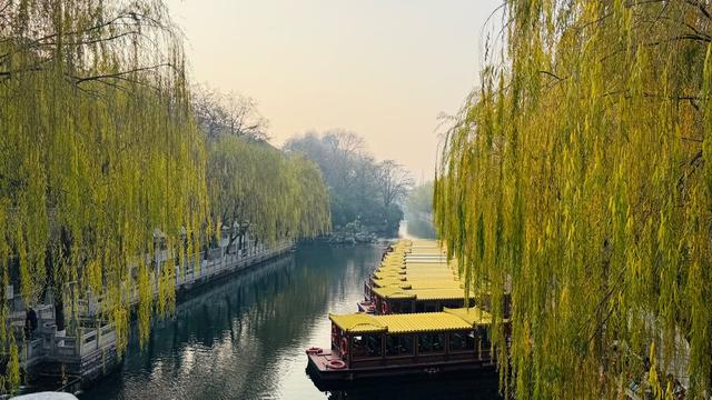 新视界｜济南护城河公园：清泉映垂柳 游客乐冬游