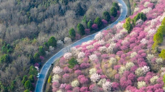 惊艳全国！2026黄陂首登央视