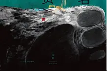 在动物园上班是怎样的体验？图片