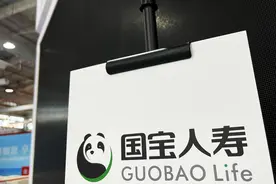 国资加码、女掌门挂帅！四川国宝人寿或迎新变局图片