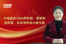 中储股份2024年财报：营收利润双降，扣非净利润大幅亏损