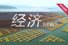 2025上海车展将将与“五一”假期联动，首次举办全球汽车领袖闭门峰会图片