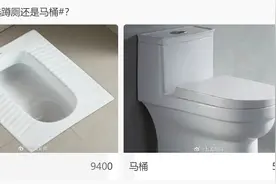 蹲厕和坐厕，到底哪个更卫生？图片