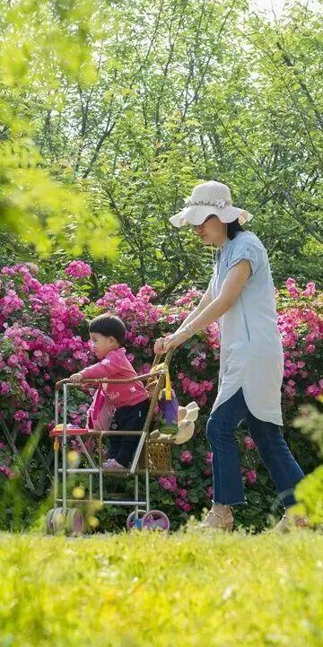 天呐，洛阳的这份「反差感」，绝了！