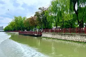 春日“沪”水游丨长宁：春风拂杨柳，共游周家浜图片