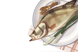 肉质鲜嫩营养价值高 价格比外地货便宜 汉产鳜鱼夏季大量上市图片