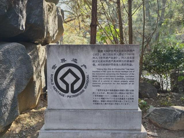 博物风情 | 在周口店遗址，遇见课本之外的历史